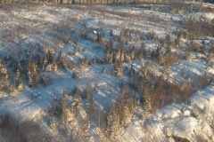 20170106_121907
